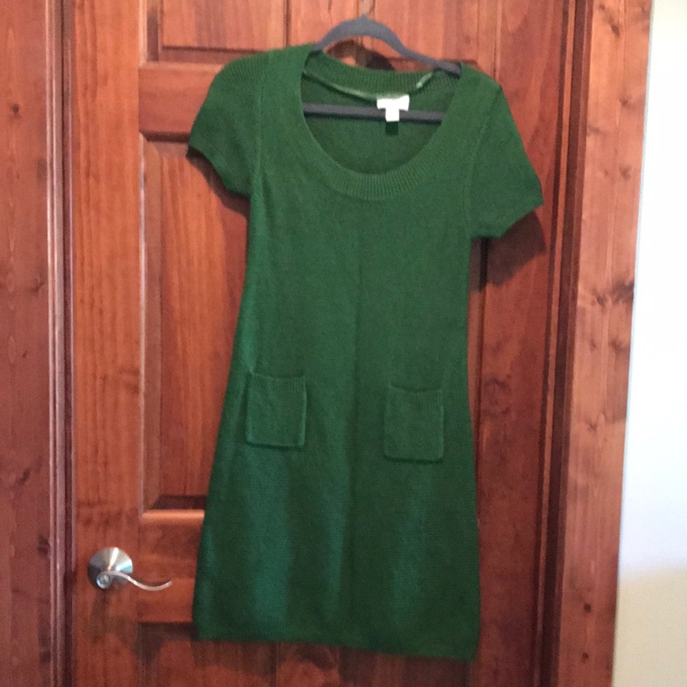 Ann Taylor Loft green sweater dress